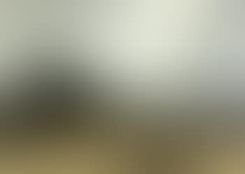 View of Campine with man walking his dog (preview)