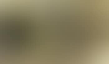 Paysage sous bois (preview)