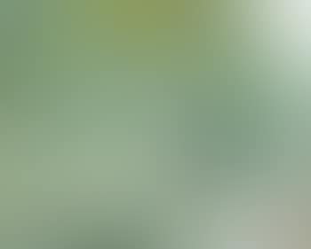 Amorphic forms (preview)