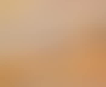Beach scene, Port Phillip (preview)