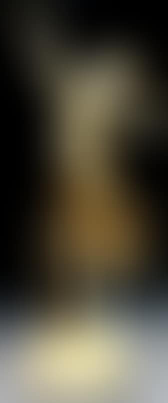 Exotic dancer (preview)