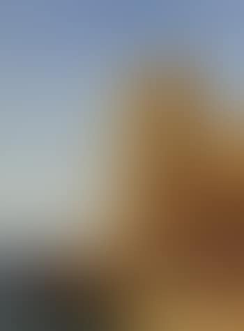 Canal a Venise (preview)