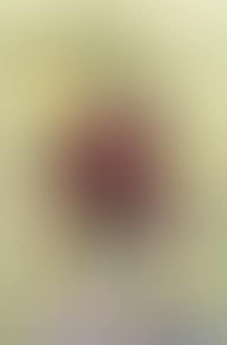 Vase de fleurs (preview)