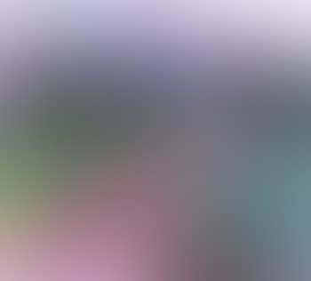Heather covered wooded landscape (preview)