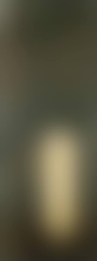 Oro (preview)