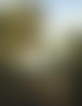 Landscape with figures (preview)