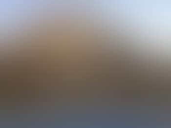 Shoalhaven (preview)