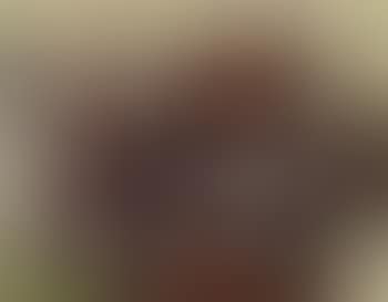 Composition (preview)