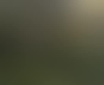 Japanese garden (preview)