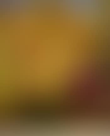 Paysage (preview)
