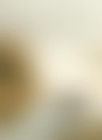 Snipe (preview)