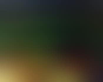 Landscape (preview)