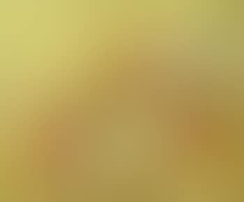 Yellow landscape (preview)