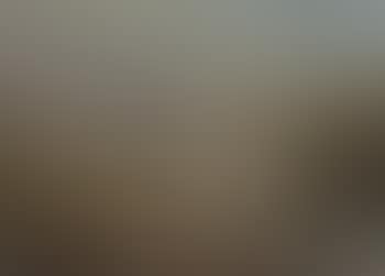 Farm animals by pool in stormy landscape (preview)