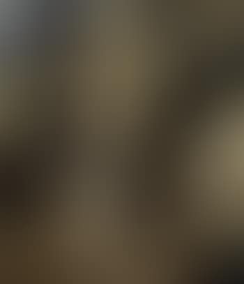 Anti-protonic assumption (preview)