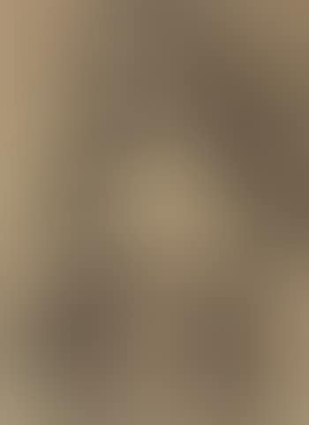Transparence (preview)