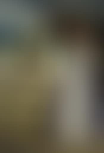 Portrait of Mrs Ann Woodward (preview)