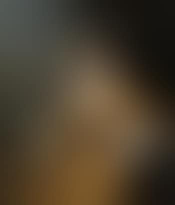 Portrait of the Duchess of Luxembourg, seated, before a fountain (preview)