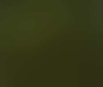 Green picture in my meadow (preview)
