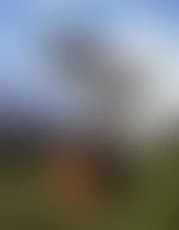 Navaho (preview)
