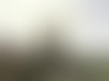 Paysage Hollandais (preview)