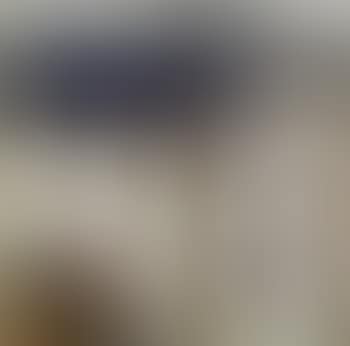 Engandiner haus mit schornstein (preview)