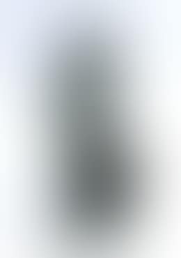 Venus traversee (preview)