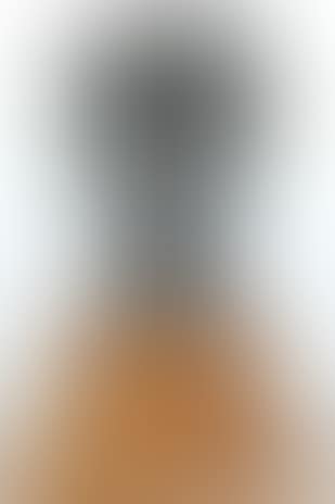 Tete du reverend pere Julien Eymard (preview)