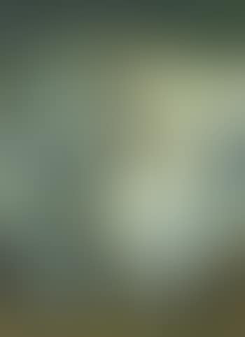 Seated model (preview)