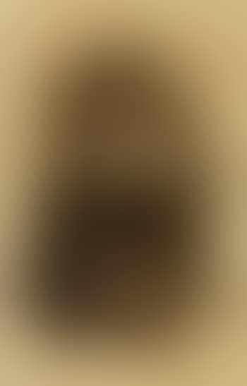 Portrait of a bearded peasant (preview)