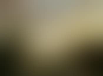 Extensive wooded landscape (preview)