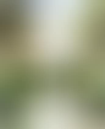 Lakeside landscape (preview)