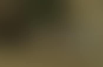 Two kittens beside an ornate timepice (preview)