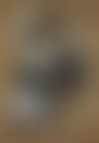 Helene V (preview)