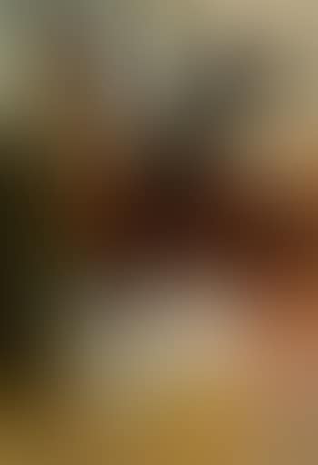 Cavallo rosso (preview)