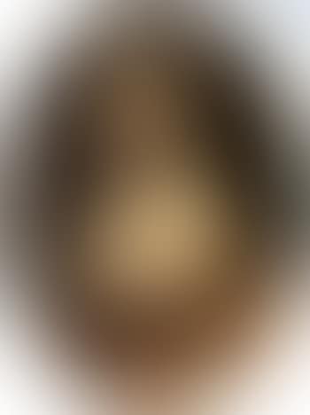 Portrait of a lady, member of the Palatine family, wearing gold dress and pearls (preview)