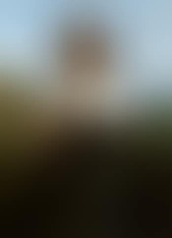 Jeune bergere (preview)