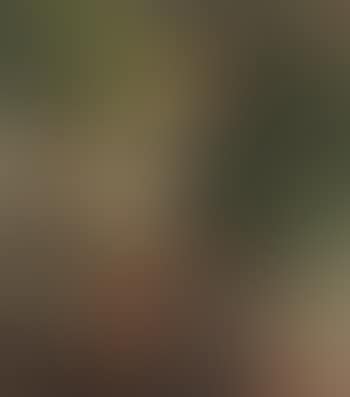 Femmes cousant (preview)