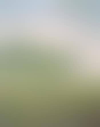 Paysage de printemps (preview)