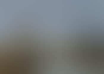 Trouville, port (preview)