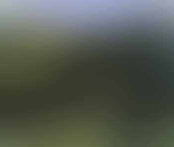 Paysage de Sanary (preview)