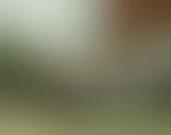 Manoir du Jas de Bouffan. Portrait du pere de l'artiste (preview)