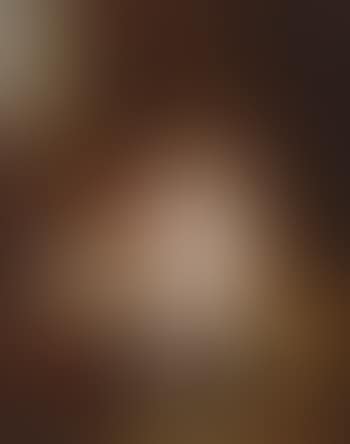 Bat (preview)