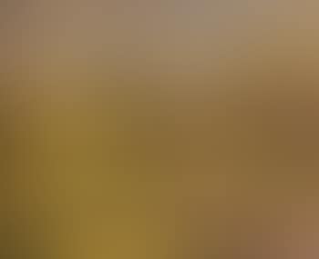 Paysage Provencal (preview)