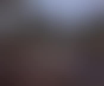 Carriere (preview)