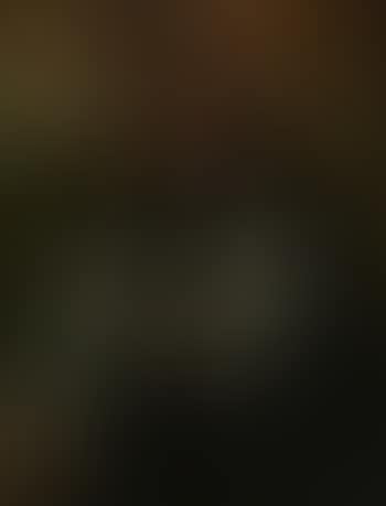 Portrait of gentleman wearing a black costume, a landscape beyond (preview)