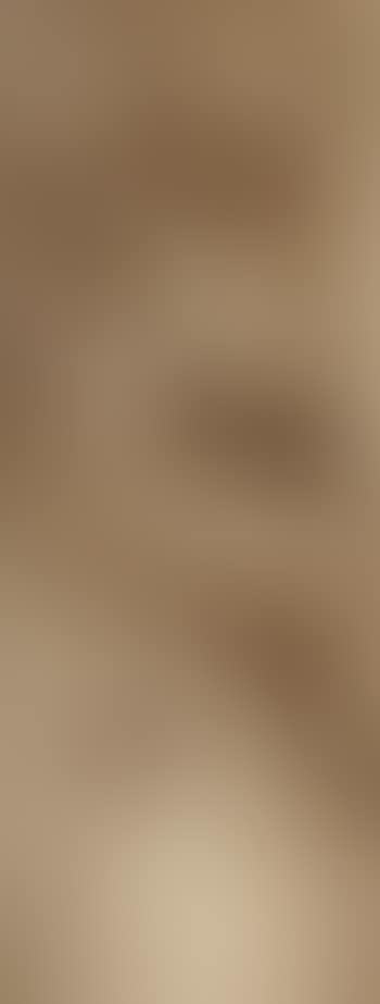 The Penitent Magdalen (preview)