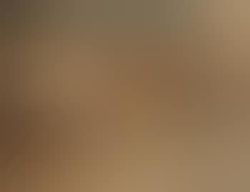 Nature morte (preview)