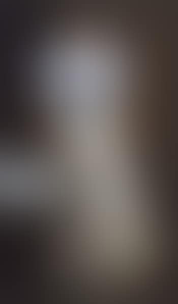 Portrait of Dona Isaura Zaldo Arana (preview)