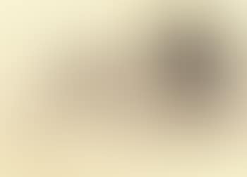 Study of cat (preview)